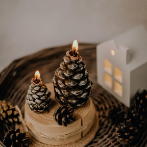 Pine Cone Candle Set | Christmas Tree Candle | Holiday & Winter Home Decor | Cozy Christmas Decoration | Gift for Winter