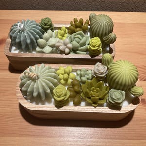 Sojawachs-Kerze im Holzpflanzer, Sukkulentenkerze, 200ml, Mango-Kokos-Duft, 3 Baumwolldochte, Geschenkbox, handgemachtes Öko-Geschenk - Muttergeschenke