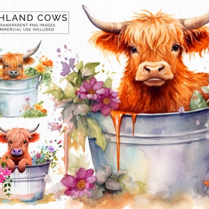 Highland Cow in Tub | Clipart | 14 Images | Transparent PNG Files | Commercial Use | Card Making Scrapbooking | Farm Animals | CLIP-111