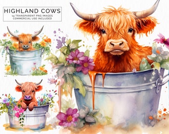 Highland Cow in Tub | Clipart | 14 Images | Transparent PNG Files | Commercial Use | Card Making Scrapbooking | Farm Animals | CLIP-111