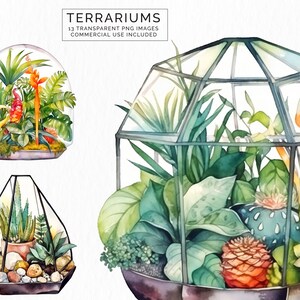 テラリウム クリップアート、植物 クリップアート、png、デジタル水彩画、無料商用利用、スクラップブッキング、テラリウム クリップアート CLIP-126