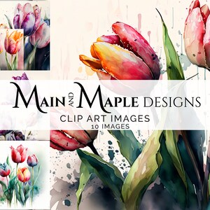 Tulips Watercolor Art PNG Files Clipart with Commercial Use POD Junk Journaling Card Making Scrapbooking Flowers Floral CLIP-53