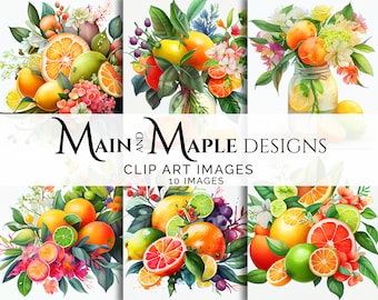 Citrus Bouquet | 10 Images | Clip Art | Commercial Use | Digital Images | Card Making Scrapbooking | CLIP-31