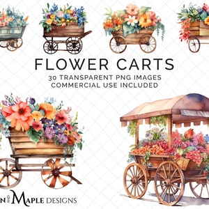 Blumenwagen Clipart | 30 Bilder | Transparente PNG-Dateien | Kommerzielle Nutzung | Kartenherstellung Scrapbooking | Blumenwagen, Blumenmarkt | CLIP-94
