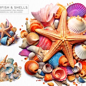 Seashells & Starfish Clusters Beach Ocean Transparent Clipart PNG Commercial Use POD Card Making Scrapbooking | CLIP-119