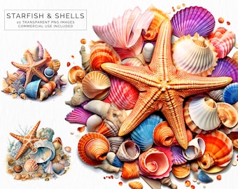 Seashells & Starfish Clusters Beach Ocean Transparent Clipart PNG Commercial Use POD Card Making Scrapbooking | CLIP-119