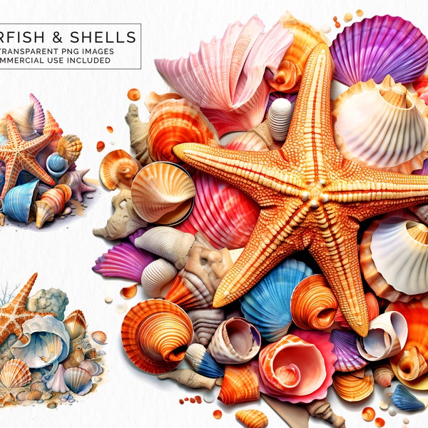 Seashells & Starfish Clusters Beach Ocean Transparent Clipart PNG Commercial Use POD Card Making Scrapbooking | CLIP-119