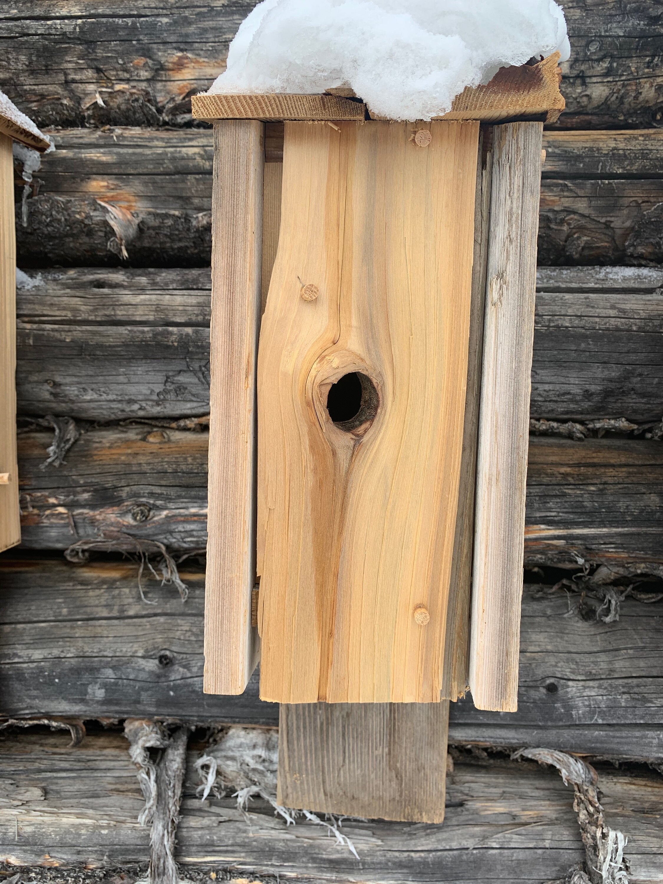 Rustic Wren Handmade Rustic Wren Birdhouse - Etsy UK