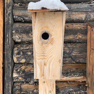 Handmade Rustic Wren Birdhouse