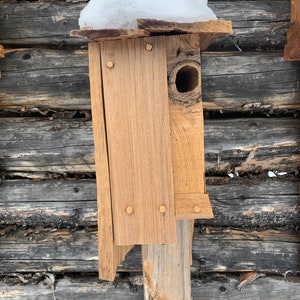 Handmade Rustic Wren Birdhouse