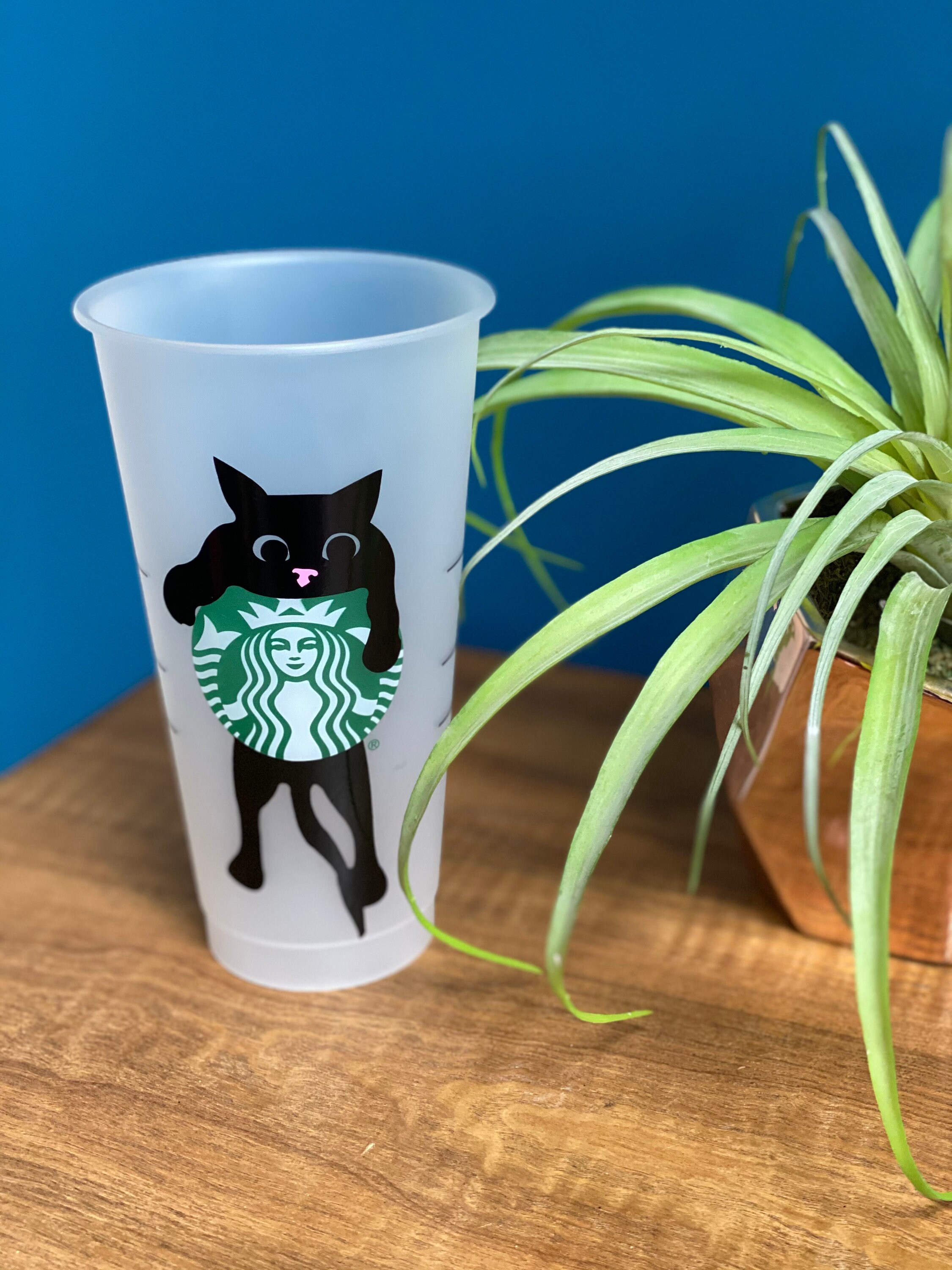 Hanging Cat Starbucks Venti 24 oz Cold Cup Tumbler // Funny Etsy
