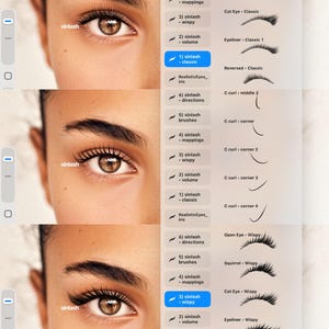 digital lash styles and mappings, eyelash extension mapping and styling brushes for procreate, lash mapping illustrations, lash styles, procreate brushes, eyelash styles, eyelash consultation, procreate lashes, lash training, lash ebook