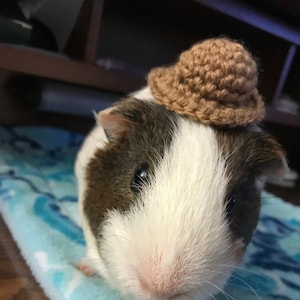 Guinea Pig Straw Hat