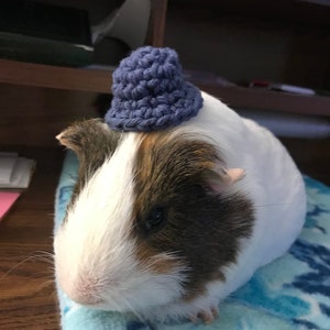 Guinea Pig Bucket Hat