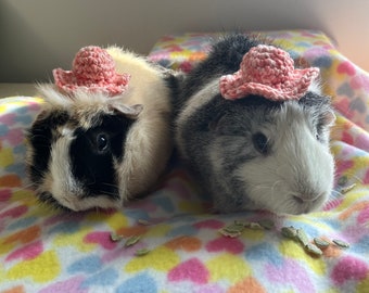 Valentine's Day Small Pet Sun Hat