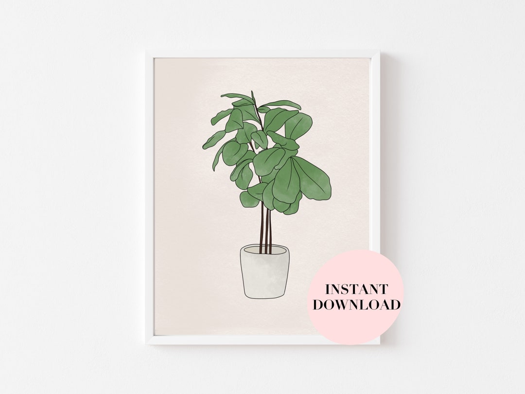 Fiddle Leaf Fig Art Print instant digital download figgy Etsy España