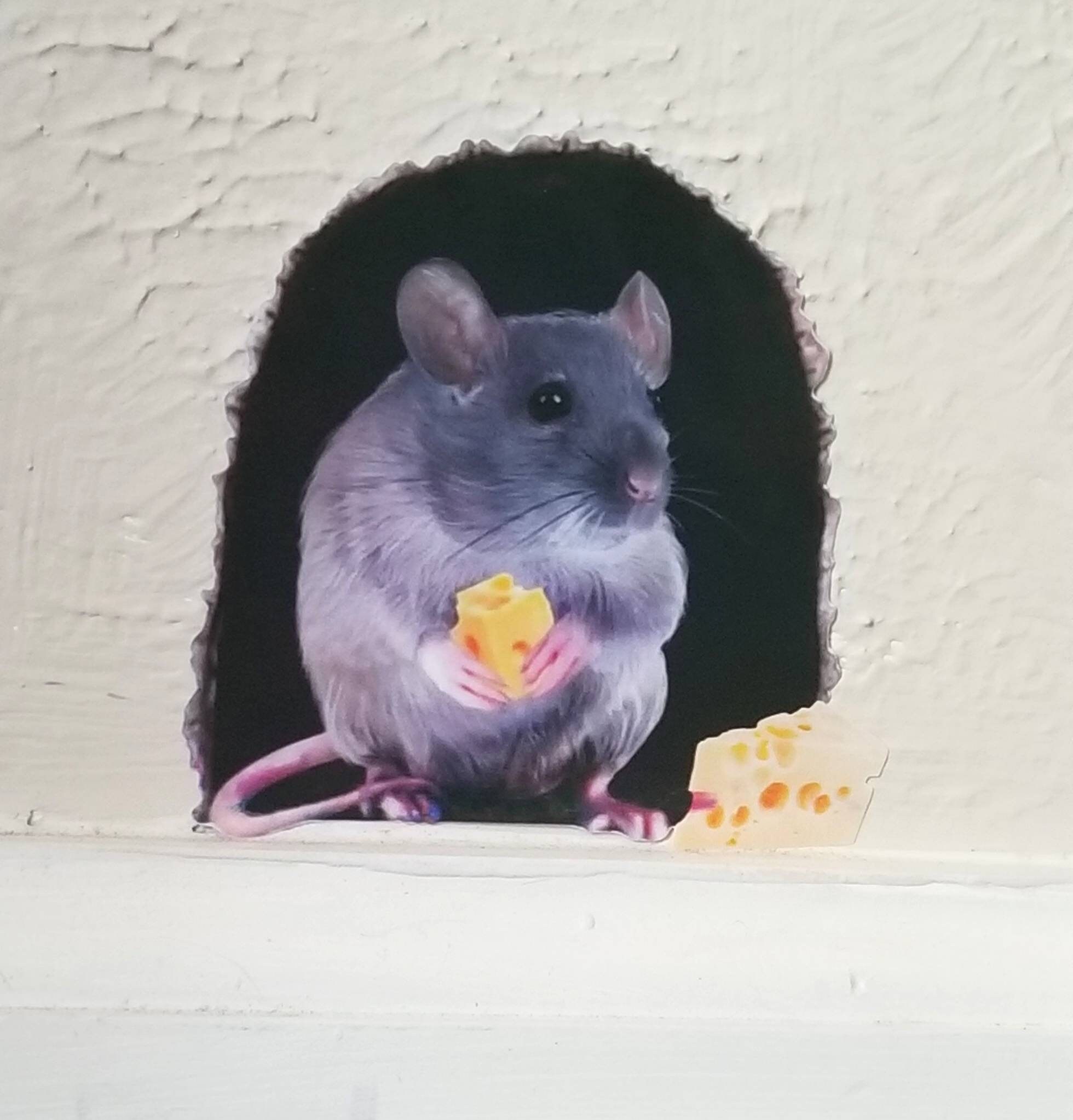 Cute Realistic Mouse Hole Sticker 3x3 Etsy UK