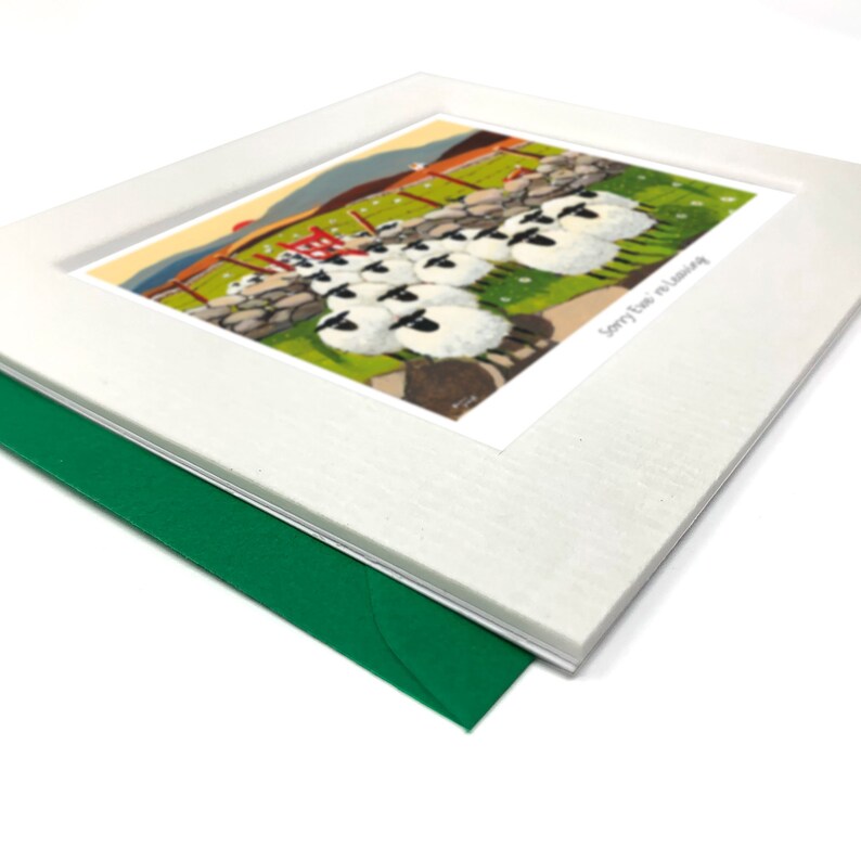 May include: A white card with a green envelope. The card features a colorful illustration of a group of sheep standing in a line, with a red gate in the background. The text "Sorry I'm so Late" is printed on the card.
