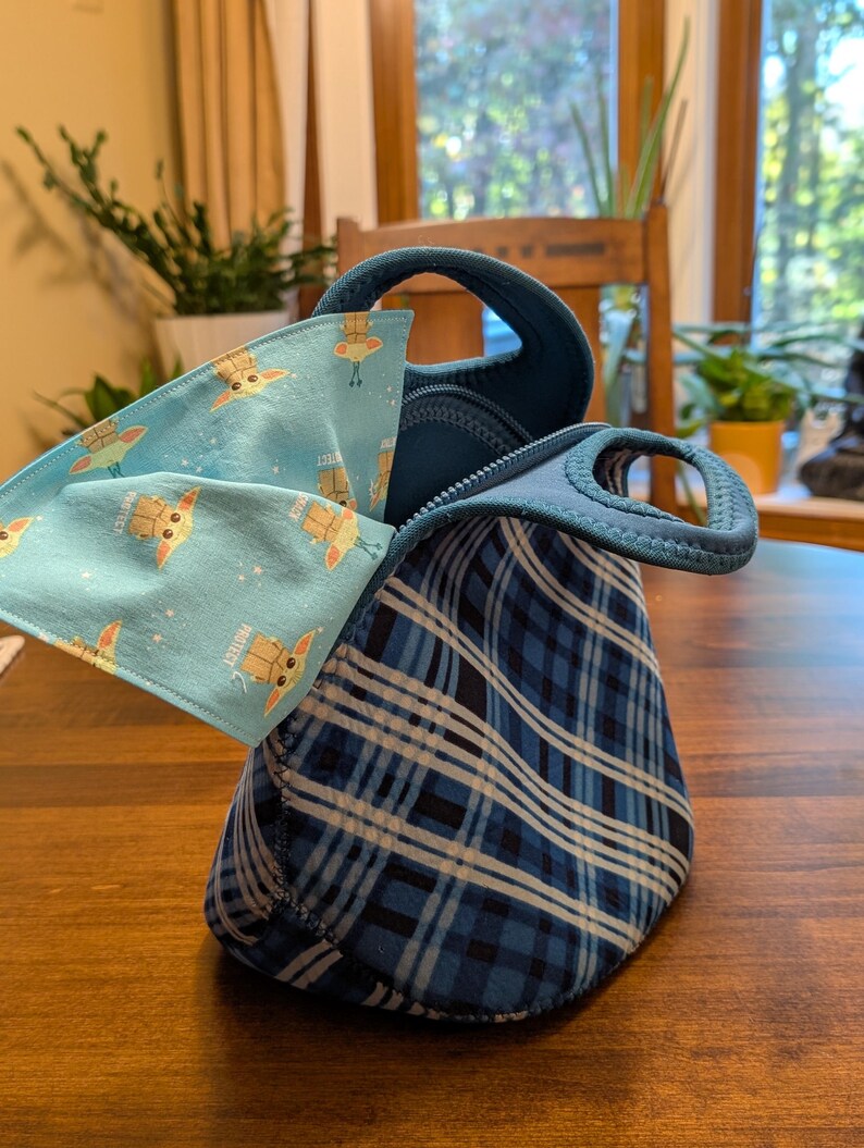 May include: A blue and white plaid lunch bag with a zipper closure and a handle. The bag is open and a blue fabric with a repeating pattern of a green character is visible inside.