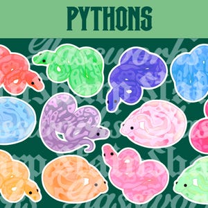 May include: A collection of colorful python stickers. The stickers feature various colors, including red, green, purple, blue, pink, and orange. The word "PYTHONS" is displayed at the top in green letters.