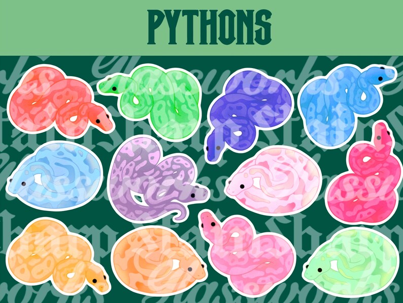 May include: A collection of colorful python stickers. The stickers feature various colors, including red, green, purple, blue, pink, and orange. The word "PYTHONS" is displayed at the top in green letters.