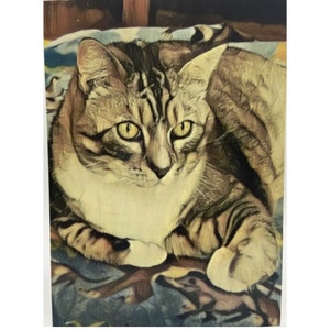 Carte postale de chat de la collection royale d’art de chat de Simba