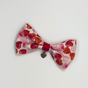 Lovable Cat Bowtie from Simba&#39;s Pawsome Tie Collection
