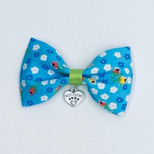 Best Friend Bowtie from Simba's Summer Tie Collection!