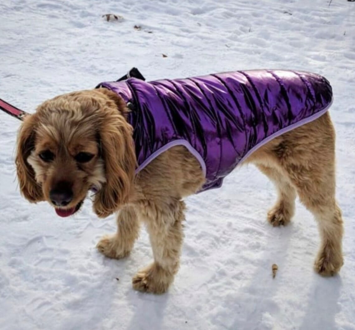 Purple Dog Winter Coat Waterproof Purple Puffer With Polar Etsy