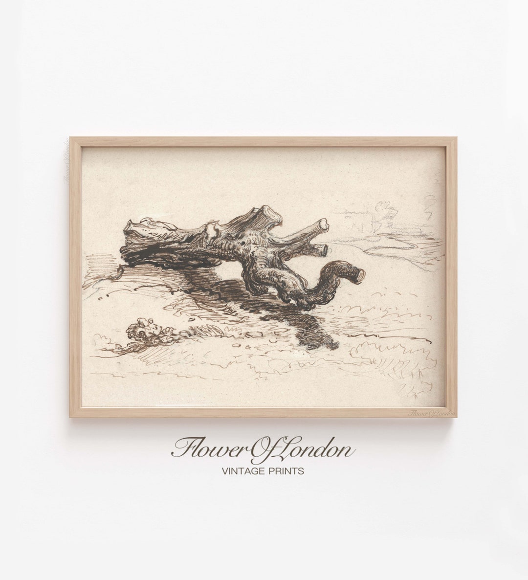 Tree Scatching Vintage Tree Snag Sketch Print, INSTANT DOWNLOAD, Woodlands Forest Tree ...
