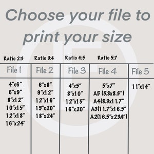 May include: A chart showing different file sizes and aspect ratios for printing. The chart is divided into five columns, each representing a different file size. The first column is labelled "File 1" and shows the following sizes: 4"x6", 6"x9", 8"x12", 10"x15", 12"x18", and 16"x24". The second column is labelled "File 2" and shows the following sizes: 6"x8", 9"x12", 12"x16", 15"x20", and 18"x24". The third column is labelled "File 3" and shows the following sizes: 4"x5", 8"x10", 12"x15", and 16"x20". The fourth column is labelled "File 4" and shows the following sizes: 5"x7", A5 (5.8x8.3"), A4 (8.3x11.7"), A3 (11.7"x16.5"), and A2 (16.5"x23.4"). The fifth column is labelled "File 5" and shows the size 11"x14".