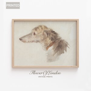Vintage Dog Sketch Print, Minimalist Antique Rustic Dog Watercolour Drawing Animal Lovers Nursery Wall Art Farmhouse Decor, Giclee #259