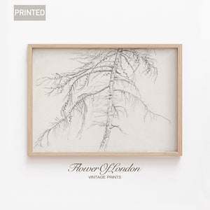 Vintage Cedar Tree Sketch Print, Pine Tree Neutral Rustic Pencil Sketch Countryside Minimalistic Landscape Drawing Farmhouse, Giclee #180