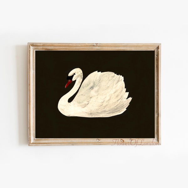 Swan Print, INSTANT DOWNLOAD, White Swan Print, Black Swan Vintage Painting Print, White Swan in Black Sea Lake Print Dark Moody Kids Room