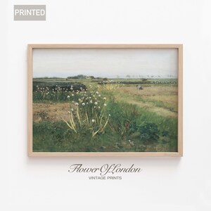 Stampa di fiori selvatici in fiore, paesaggio primaverile con prato estivo vintage, fiori selvatici in fiore, campo di erba alta, campagna, smorzato, giclée n. 251