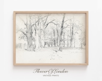Vintage Trees Sketch Print, Minimalist Simple Neutral Black and White Trees Pencil Sketch Summer Forest Woods Drawing Landscape, Giclee #204