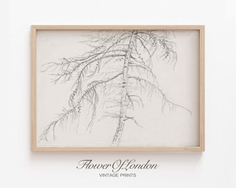 Vintage Cedar Tree Sketch Print, INSTANT DOWNLOAD, Pine Tree Pencil Sketch Minimalistic Landscape Neutral Drawing Farmhouse, DIGITAL #180