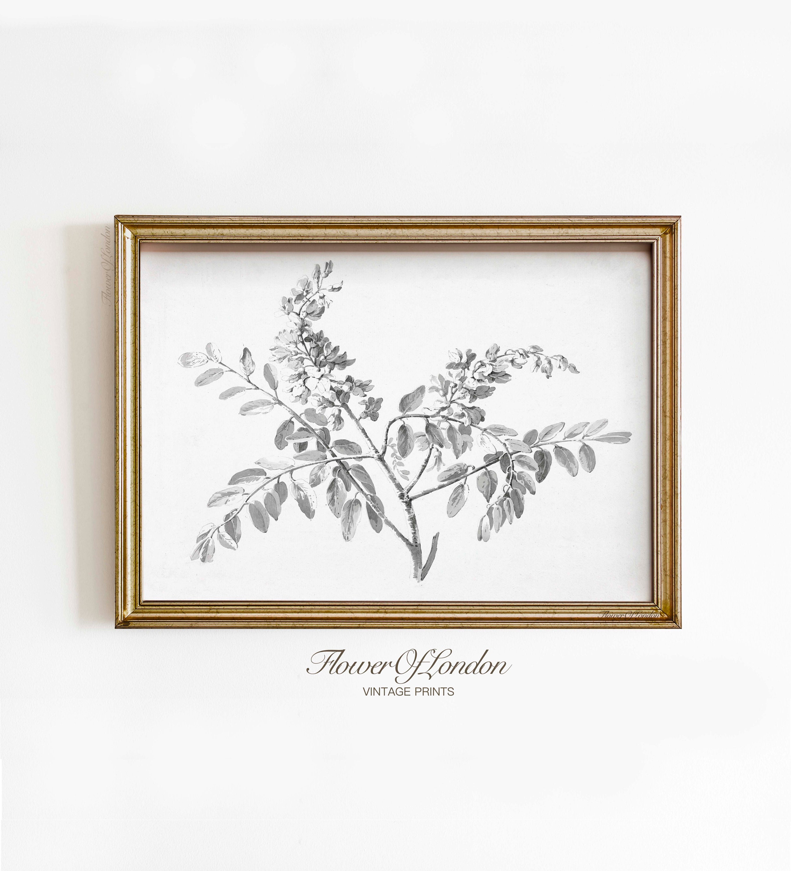 Vintage Branch Sketch Print, INSTANT DOWNLOAD, Minimalist Drawing ...
