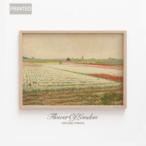 Holländisches Tulpenfeld Druck, Vintage Amsterdam Gedämpfte Neutrale Landschaft Sommer Blühende Blumen Feld Anstrich Rustikales Bauernhaus, Giclee #236