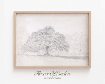 Vintage Tree Sketch Print, INSTANT DOWNLOAD, Woodlands Forest Trees Pencil Sketch Landscape Neutral Drawing Farmhouse Decor, DIGITAL #181