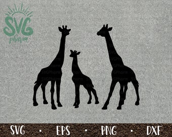 Download Baby Giraffe Svg Etsy