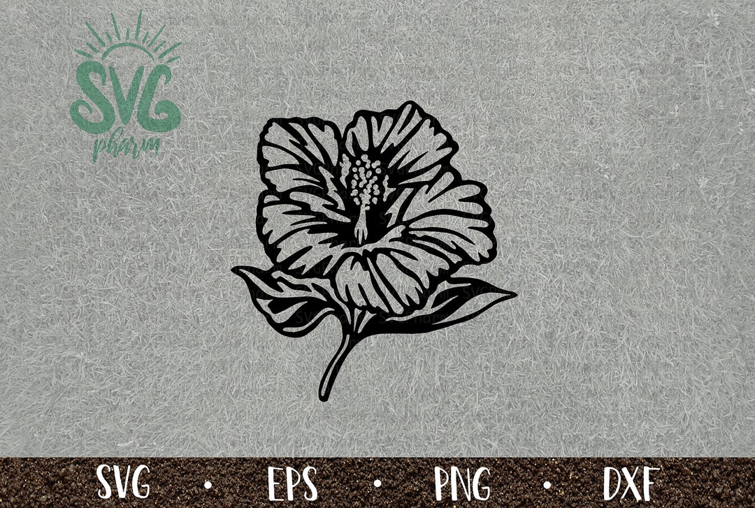 Hibiscus SVG / Hibiscus Flower / Tropical / Floral / Png DXF EPS ...