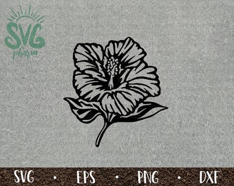 Hibiscus SVG / Hibiscus Flower / Tropical / Floral / PnG DXF EPS / Cricut / Silhouette / Digital Cut File / Clip Art