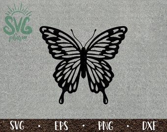 Buttefly SVG / Monarch Butterfly / Beautiful Insect / Butterfly Decoration / PnG DXF EPS / Cricut / Silhouette / Digital Cut File / Clip Art