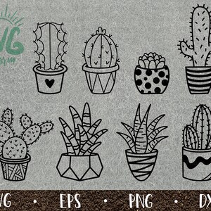 Cactus SVG Bundle / Plantas suculentas / Plantas de interior / Plantas lindas / PnG DXF EPS / Cricut / Silhouette / Digital Cut File / Clip Art