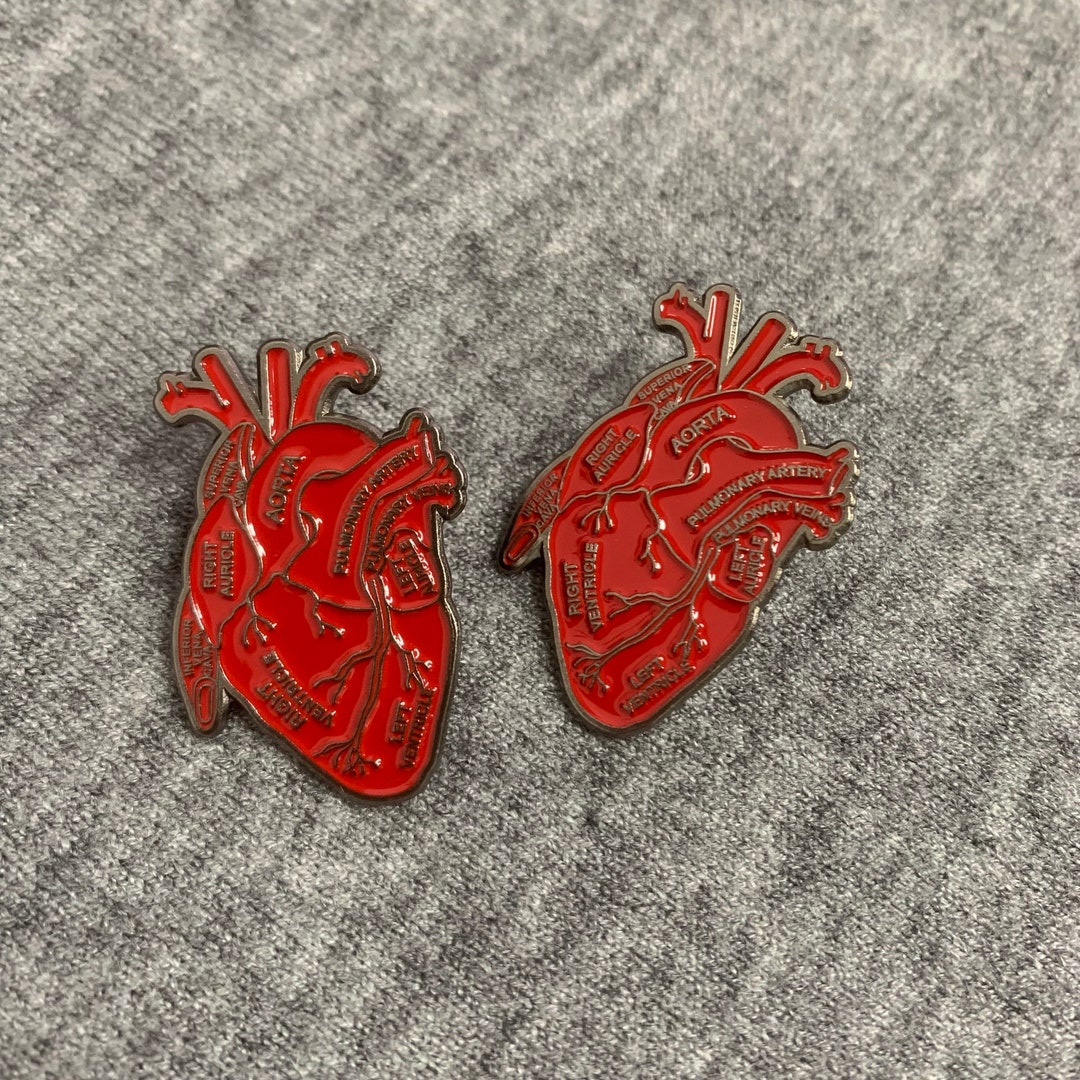 Anatomy Heart Enamel Pin,anatomical Heart Lapel Pin,heart Enamel Pin ...