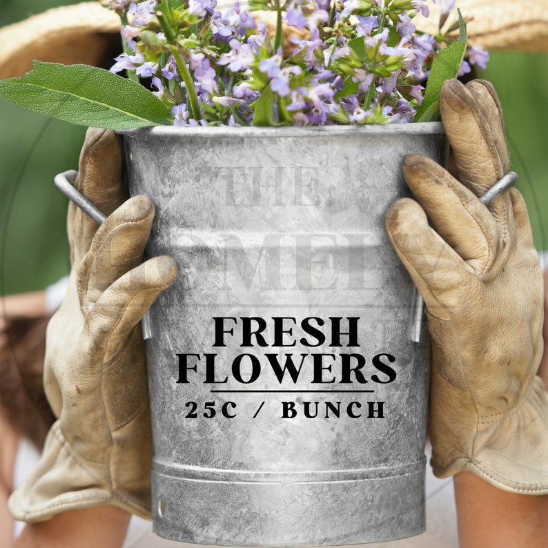 May include: A galvanized metal bucket filled with purple flowers, with a sign that reads "Fresh Flowers 25c/Bunch".