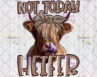 Clear Cast Decals , Not Today Heifer , Tumbler Decal