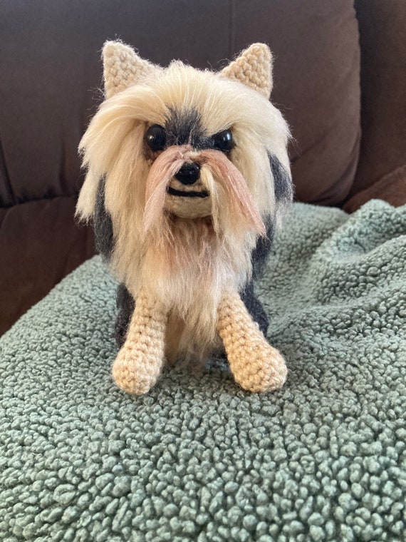 Philippines Teacup Yorkie Price Range Teacup Yorkie Canada