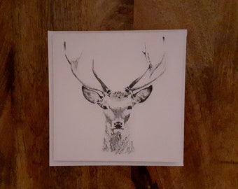 Stag Art Card